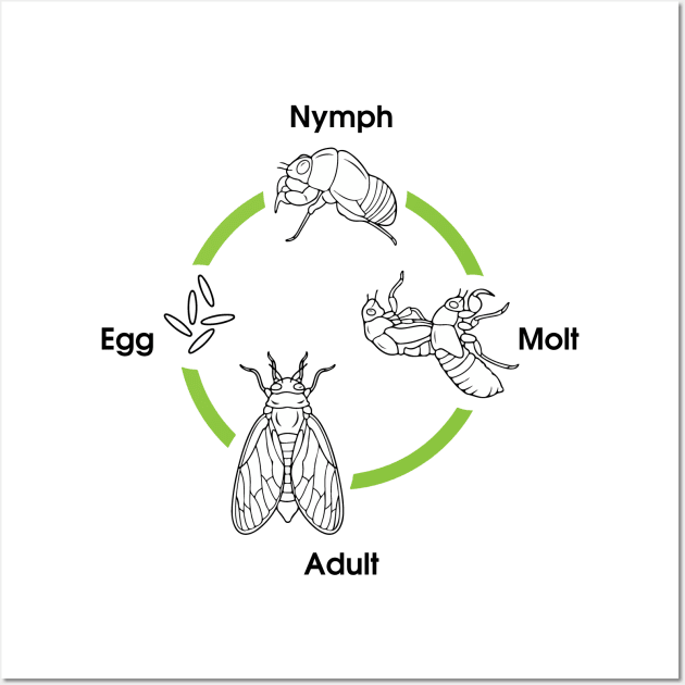 Life Cycle Of A Cicada Wall Art by Atelier Djeka